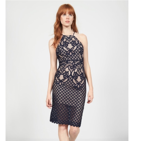 Bardot Mila Lace Halter Open Back Elegant Dress - Picture 5 of 7